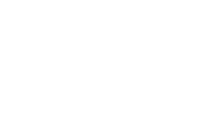Initiatives icon.