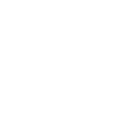 Check icon illustration.